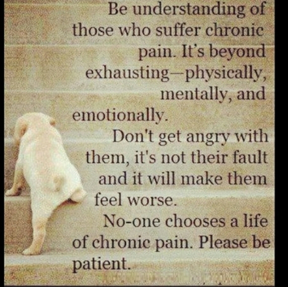 APPLE CADES COVE Retired StoneWare DinnerWare  EUC - Picture 12 of 16